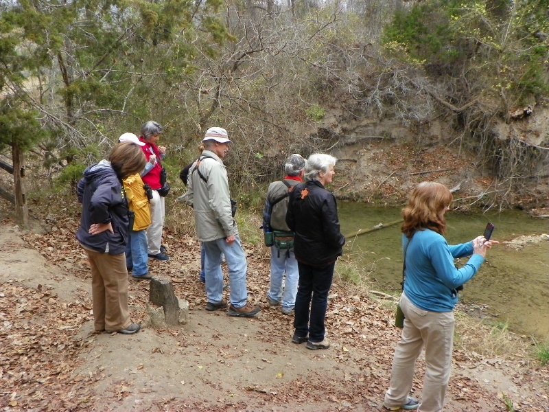 100_3588 (800x600).jpg - TLAS birders photographed by Elaine Horton